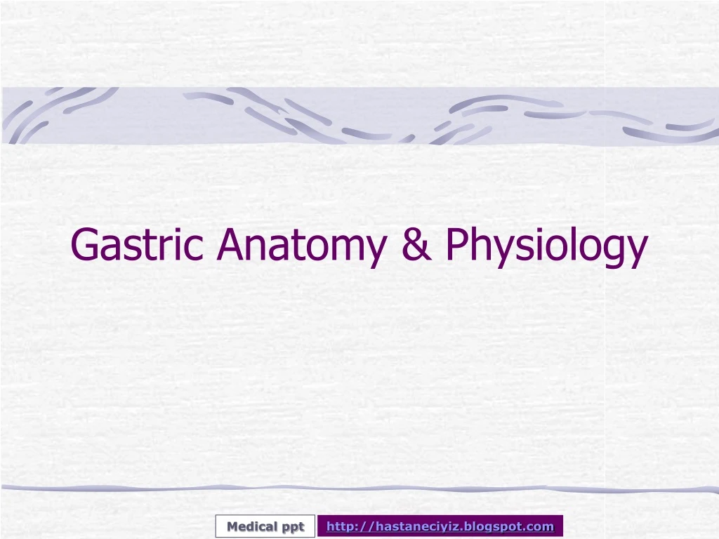 gastric anatomy physiology