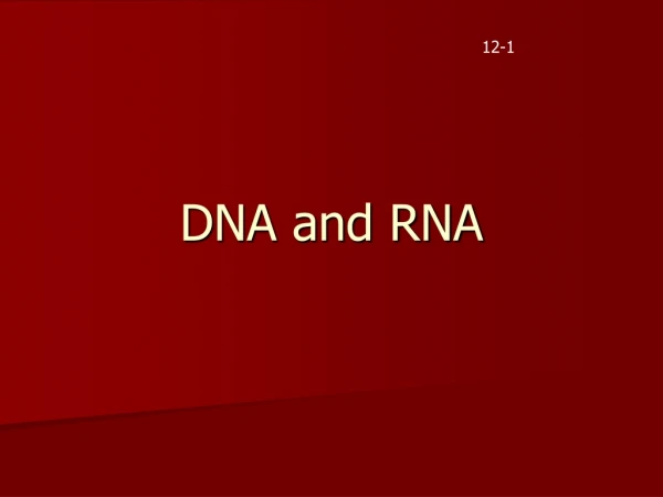 DNA and RNA