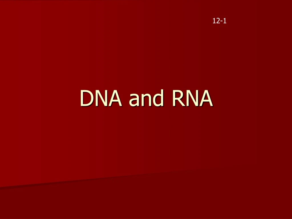 dna and rna