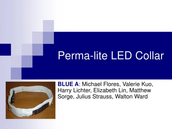 Perma-lite LED Collar