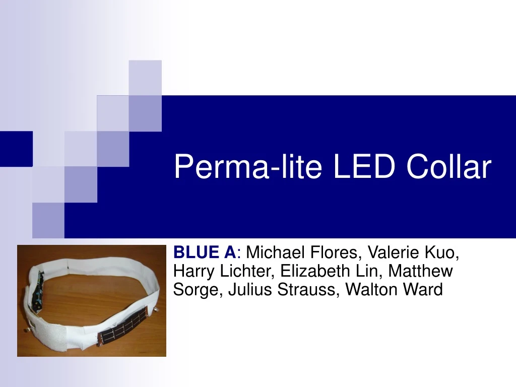 perma lite led collar