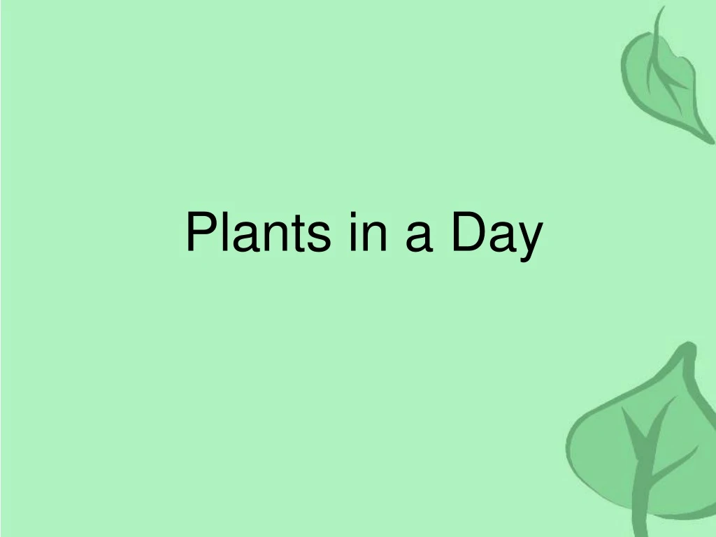 plants in a day