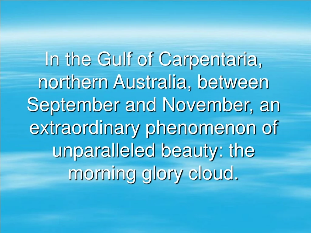 in the gulf of carpentaria northern australia