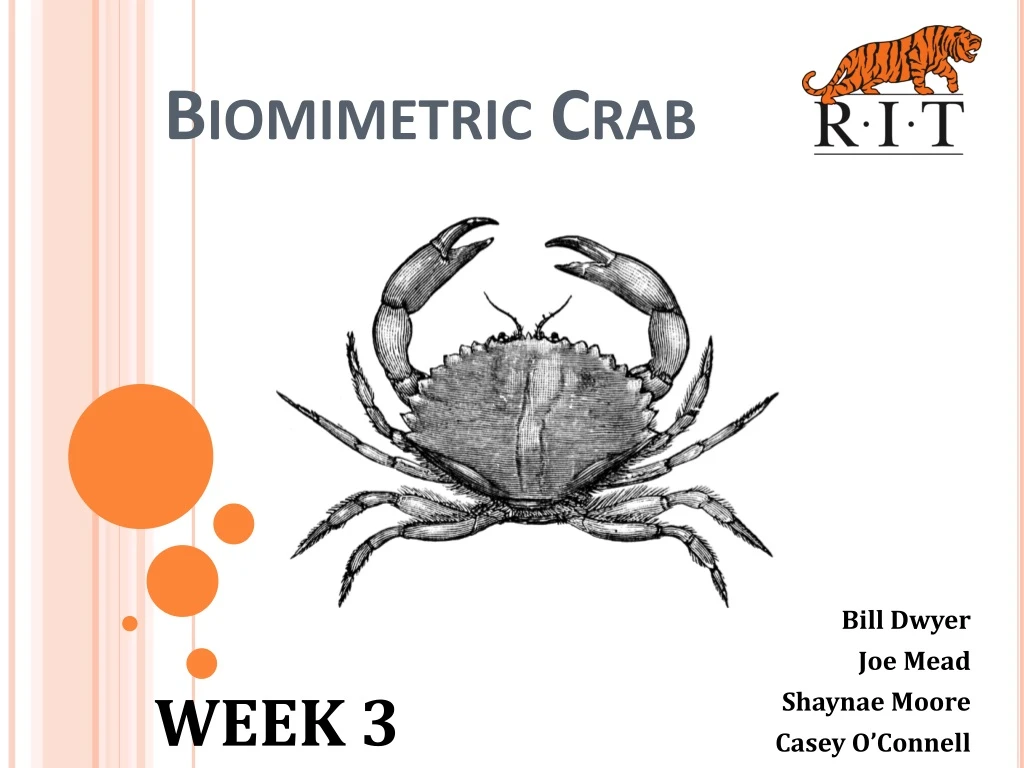 biomimetric crab