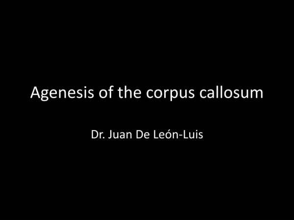 A genesis of the corpus callosum
