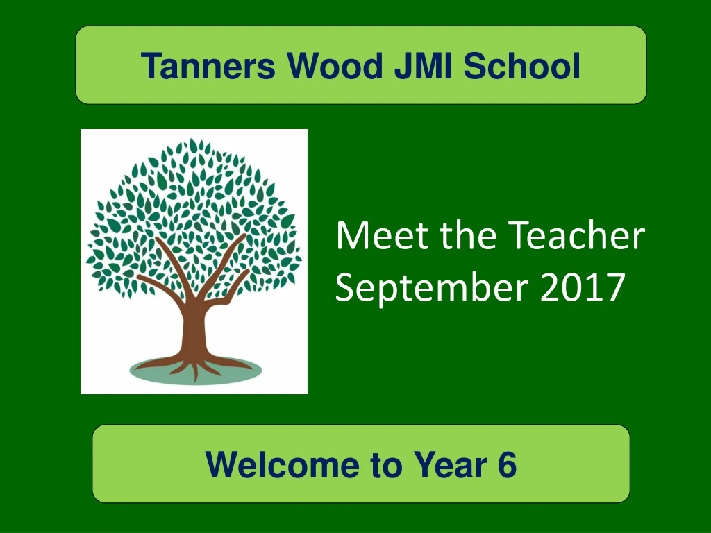 tanners wood jmi school