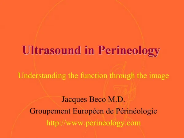 Ultrasound in Perineology