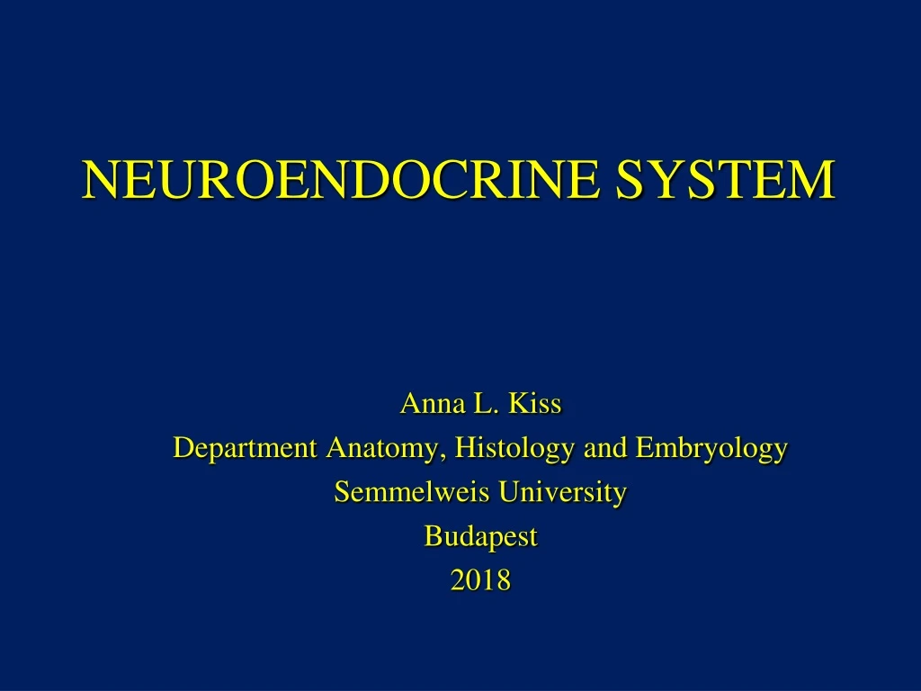 neuroendocrine system