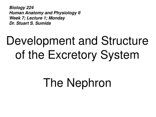 Biology 224 Human Anatomy and Physiology II Week 7; Lecture 1; Monday Dr. Stuart S. Sumida