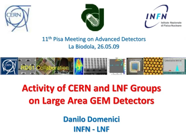Activity of CERN and LNF Groups on Large Area GEM Detectors Danilo Domenici INFN - LNF