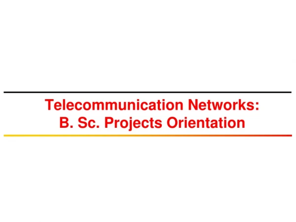 Telecommunication Networks: B. Sc. Projects Orientation