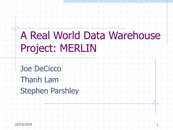 A Real World Data Warehouse Project: MERLIN