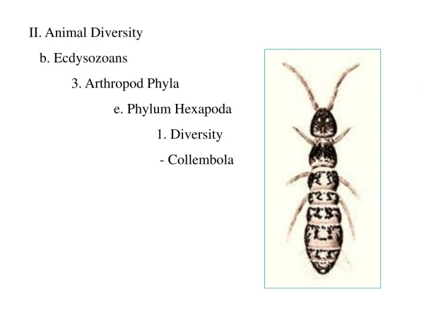 II. Animal Diversity b. Ecdysozoans 	3. Arthropod Phyla 		e. Phylum Hexapoda 			1. Diversity