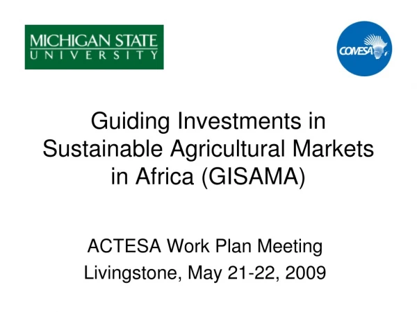 Guiding Investments in Sustainable Agricultural Markets in Africa (GISAMA)