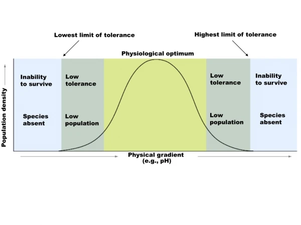 Lowest limit of tolerance