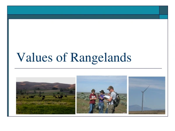 Values of Rangelands