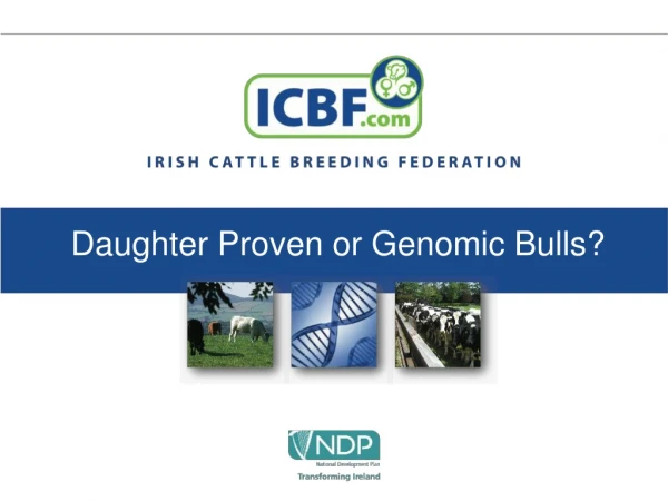 Daughter Proven or Genomic Bulls?
