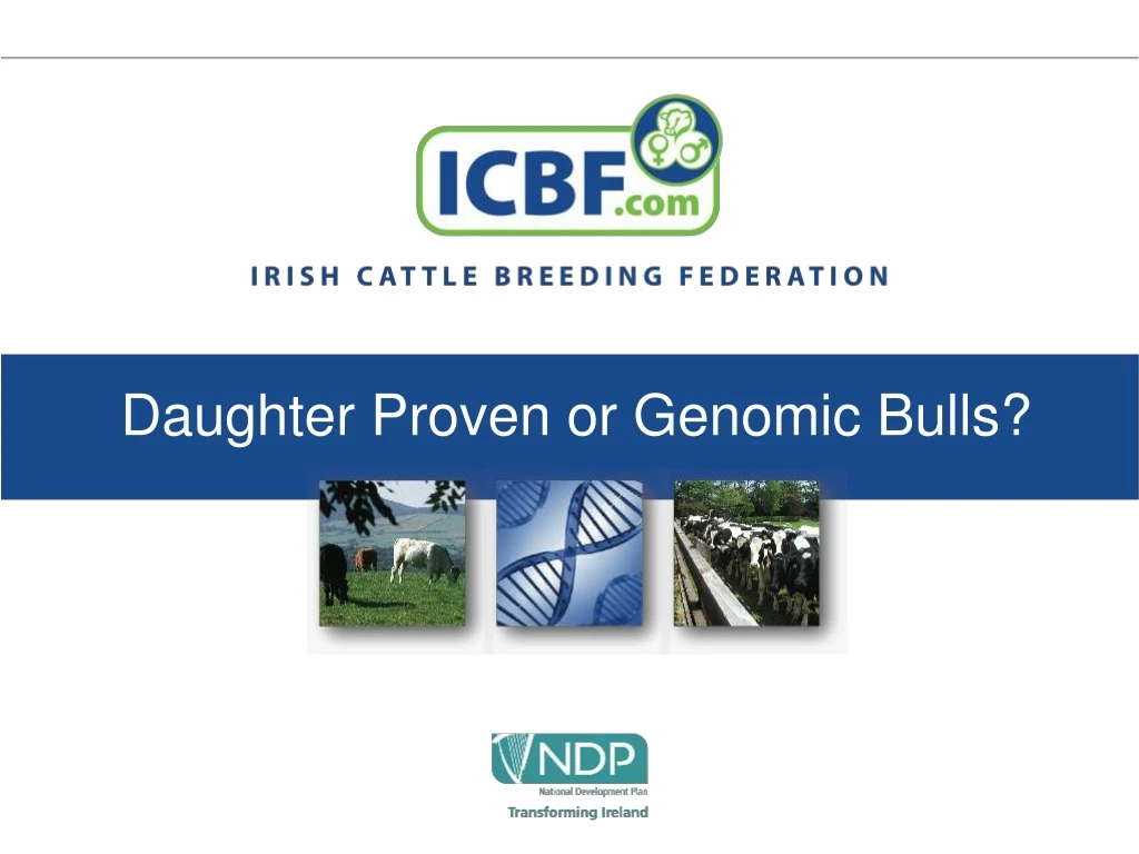 daughter proven or genomic bulls