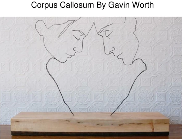 Corpus Callosum By Gavin Worth