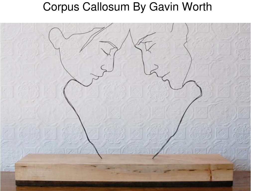 corpus callosum by gavin worth