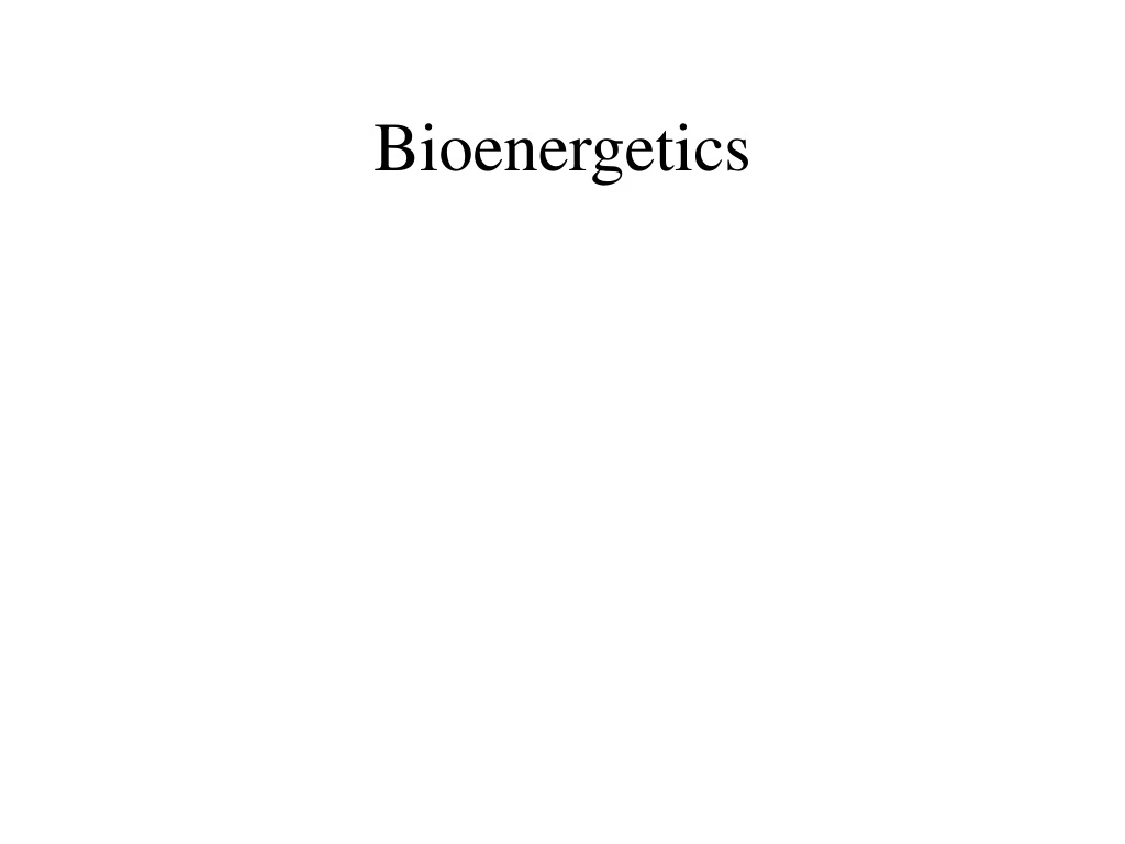 bioenergetics