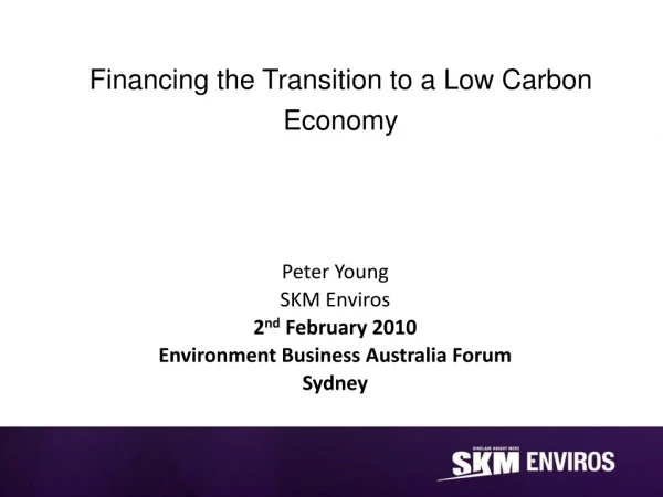 Financing the Transition to a Low Carbon Economy