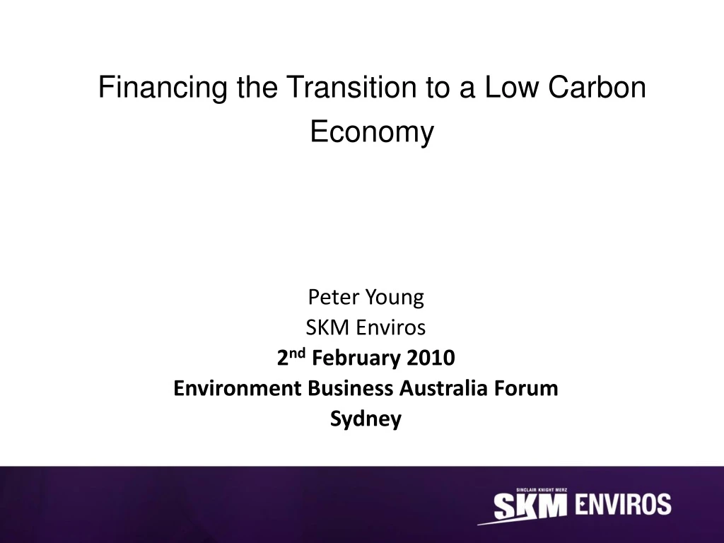 financing the transition to a low carbon economy