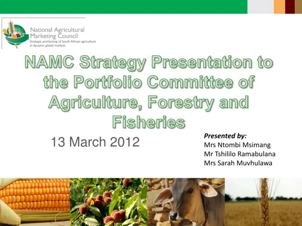 NAMC Strategy Presentation to the Portfolio Committee of Agriculture, Forestry and Fisheries