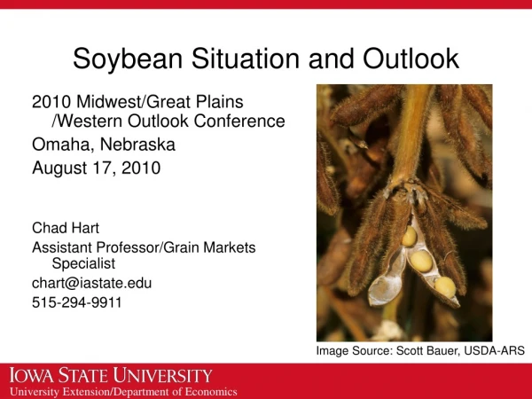 Soybean Situation and Outlook