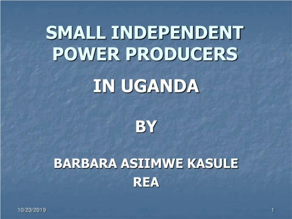 SMALL INDEPENDENT POWER PRODUCERS