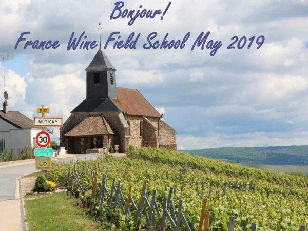 Bonjour! France Wine Field School May 2019