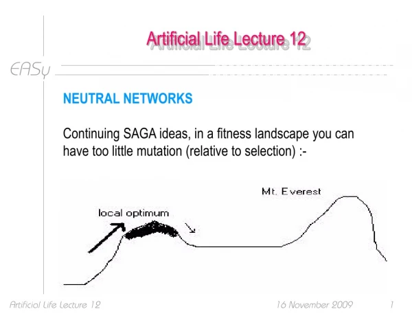 Artificial Life Lecture 12