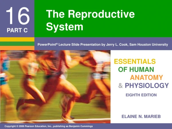 The Reproductive System