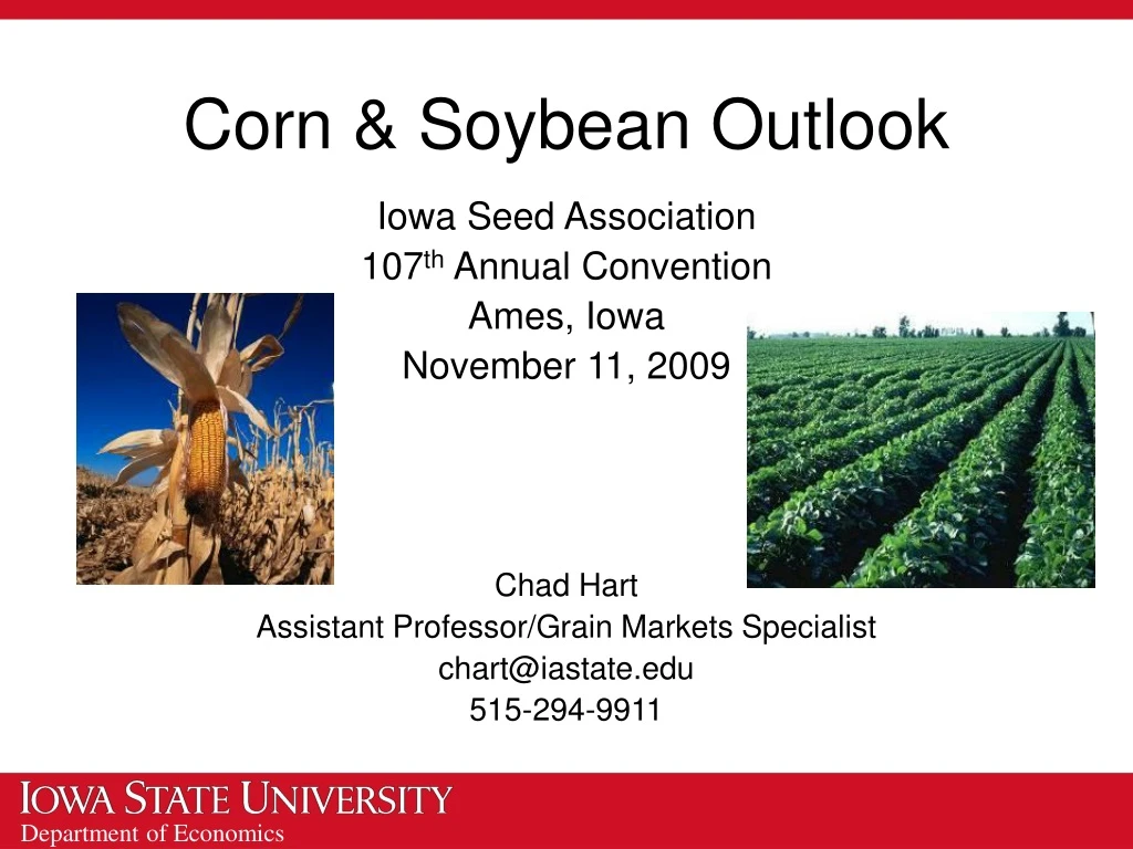 corn soybean outlook