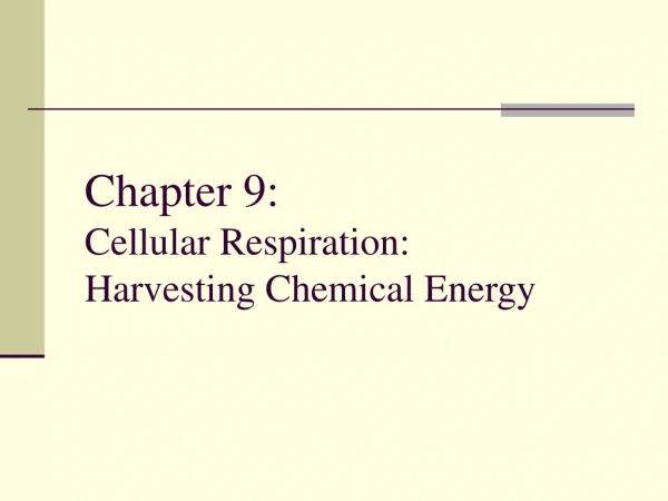 Chapter 9: Cellular Respiration: Harvesting Chemical Energy