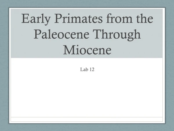 Early Primates from the Paleocene Through Miocene