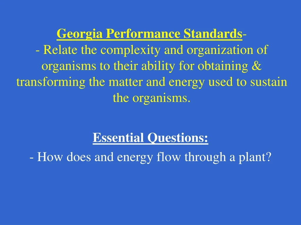 essential questions how does and energy flow through a plant