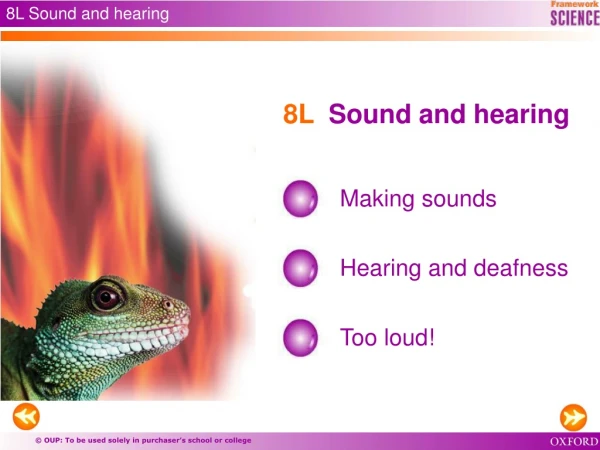 8L Sound and hearing