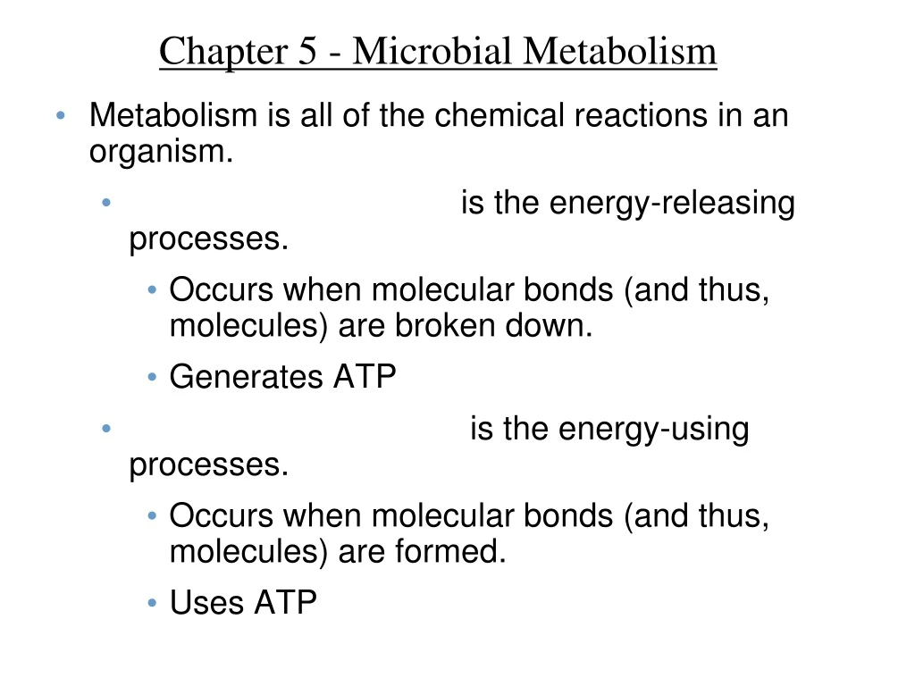 chapter 5 microbial metabolism