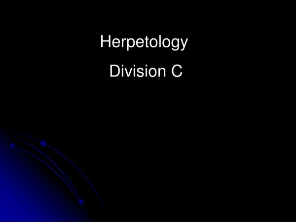Herpetology Division C