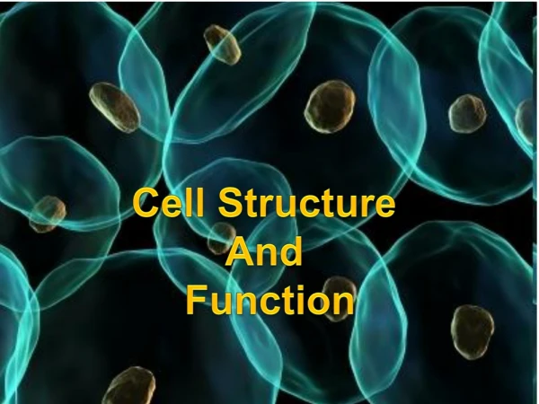 Cell Structure And Function