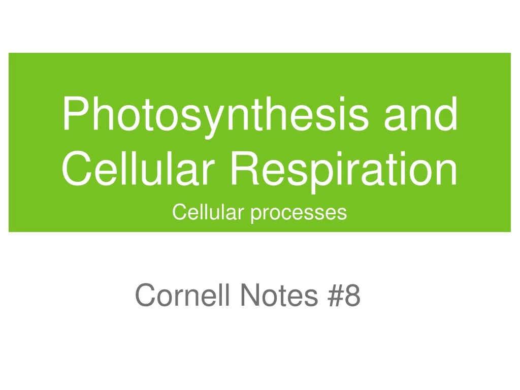 photosynthesis and cellular respiration