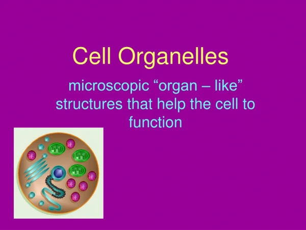 Cell Organelles