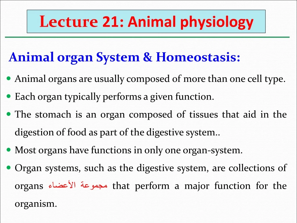 lecture 21 animal physiology