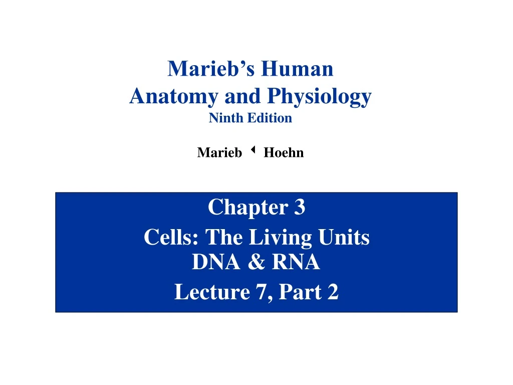 chapter 3 cells the living units dna rna lecture 7 part 2