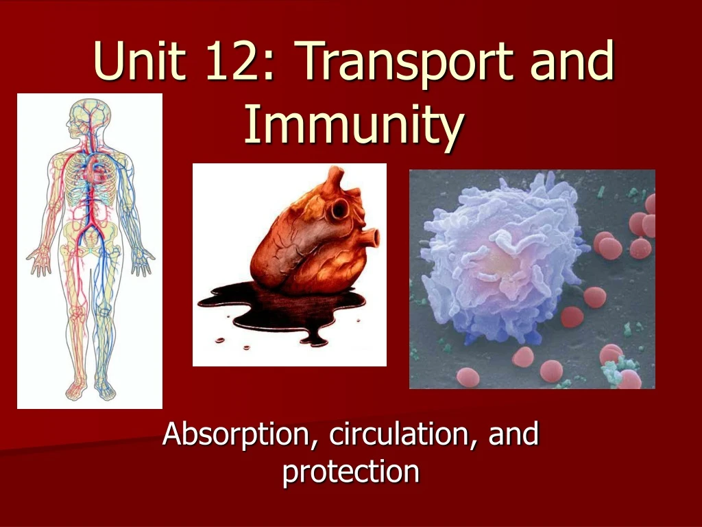 unit 12 transport and immunity