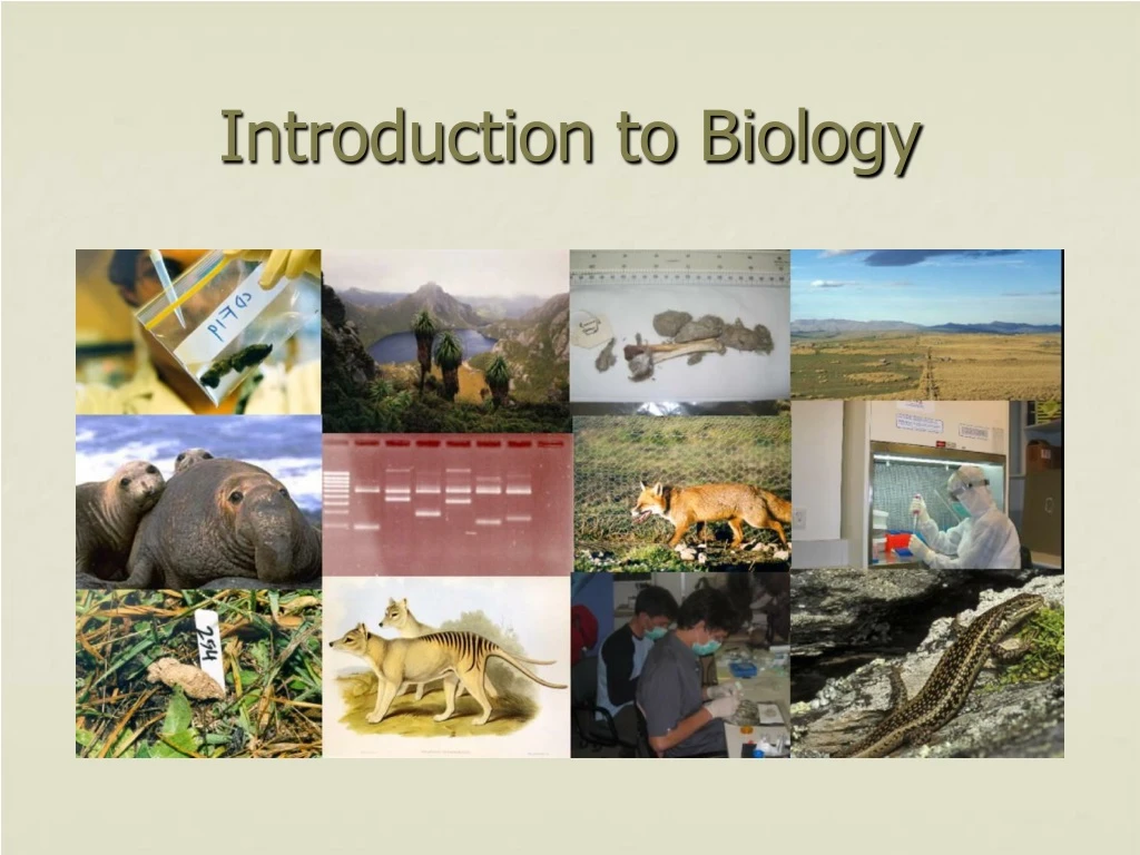 introduction to biology