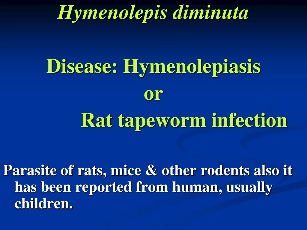 hymenolepis diminuta disease hymenolepiasis