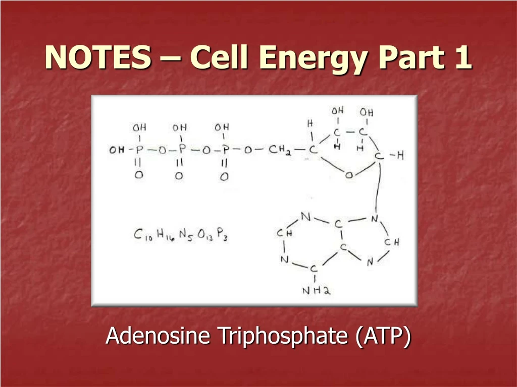 adenosine triphosphate atp