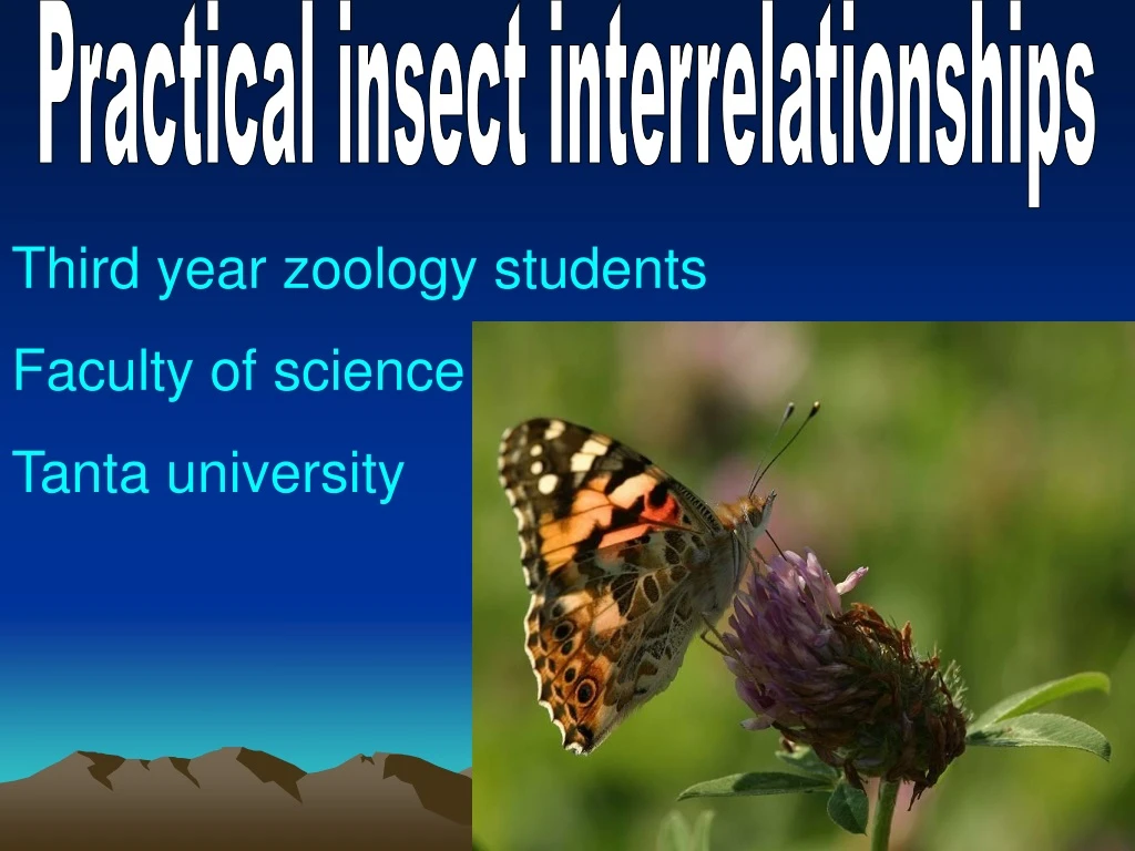 practical insect interrelationships